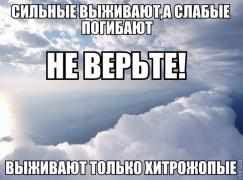 yumora-nemnogo-kartinki-smeshnye-kartinki-fotoprikoly_8521901384.jpg