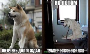 6b2b00be4942d6d9c491bdbf3b18131a.jpg