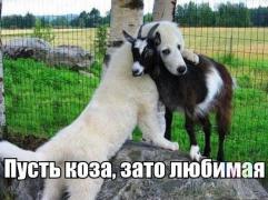 yumora-nemnogo-kartinki-smeshnye-kartinki-fotoprikoly_7122918724.jpg