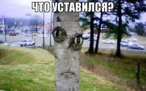 yumora-nemnogo-kartinki-smeshnye-kartinki-fotoprikoly_7693691364.jpg