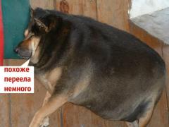 0_cd8b1_ea0f39e5_orig.jpg