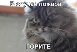 0_d0823_5e79cabb_orig.jpg