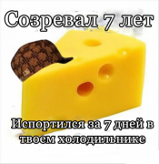 1390077426_1389854103_4.png