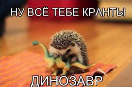 1389122234_1389080950_13.jpg