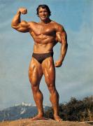 arnold.jpg