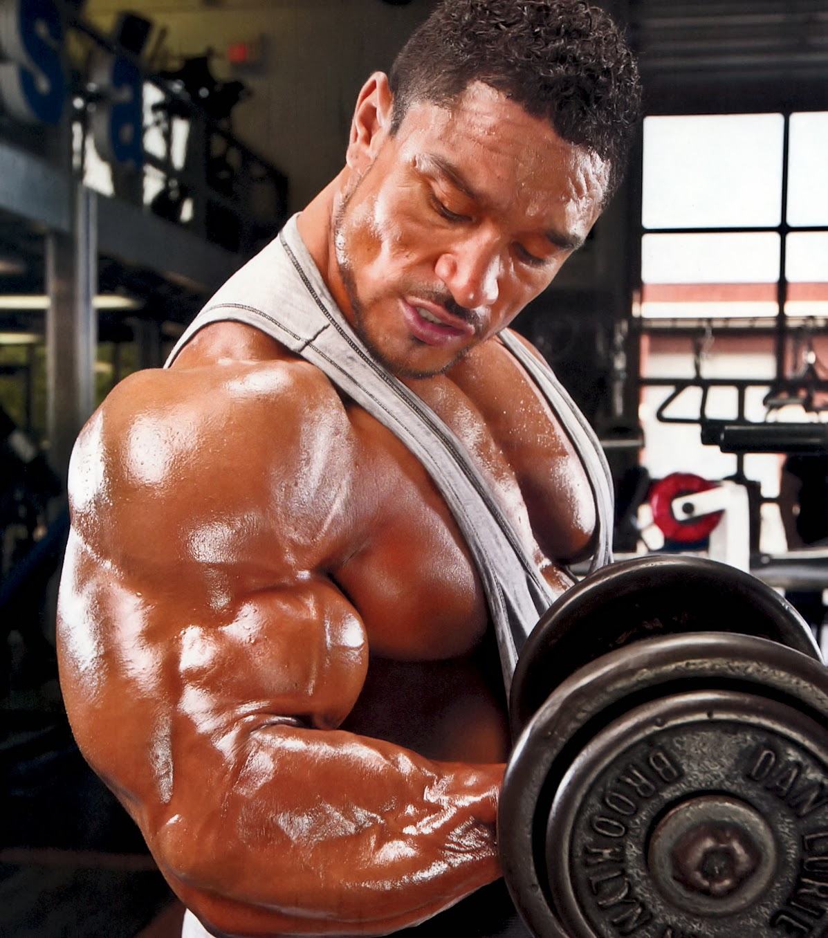 Roelly Winklaar бицепс