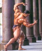 Levrone (ee2b6f7c).jpg