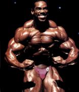 flexwheeler10.jpg