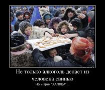 933119_ne-tolko-alkogol-delaet-iz-cheloveka-svinyu_demotivators_to.jpg
