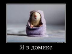 594186_ya-v-domike_demotivators_to.jpg