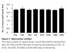 2015-01-13 15-00-16 The effects of heavy resistance training and detraining on satellite cells in human skeletal muscles З.png