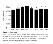 2015-01-13 14-58-49 The effects of heavy resistance training and detraining on satellite cells in human skeletal muscles З.png