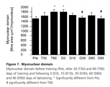2015-01-13 14-59-25 The effects of heavy resistance training and detraining on satellite cells in human skeletal muscles З.png