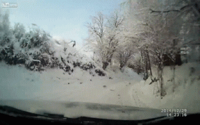 1420101721_1306549925.gif