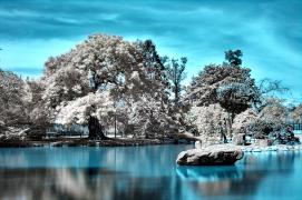 The_Japanese_Garden_in_Infrared.jpg