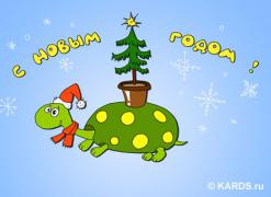 ЁЛОЧКА 2.jpg