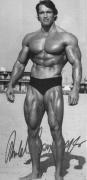 schwarzenegger_66 (1).jpg