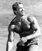 arnold_schwarzenegger3.jpg