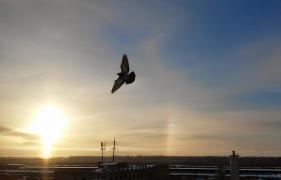 20150109_102120~2.jpg
