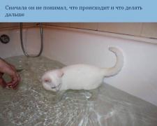 ImageUploadedByTapatalk1452368910.334693.jpg