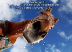ImageUploadedByTapatalk1452813089.882495.jpg