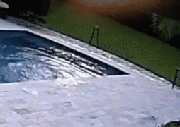 _-_-2750185_mp4.gif