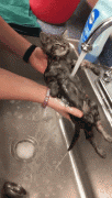 1453573936172197704.gif