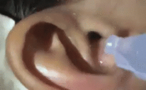 _-_-_-_-2751502_mp4.gif