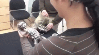 145277420916235935.gif