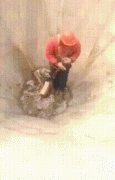 image (1).gif