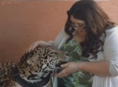 1452840278-daec4be88e23344a7a74debc38c41b89.gif