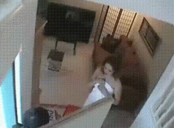 image (2).gif