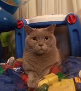 P51113-192100 (1).jpg