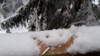 20151230_115531.jpg