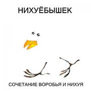 x_91f42a15.jpg