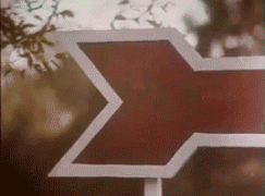 1452850232_1178.gif