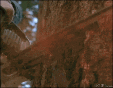 1448922485_gifs_12.gif