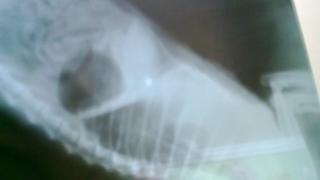 WP_20160113_003.jpg
