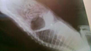 WP_20160113_008.jpg