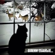 олени.jpg