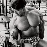 arnold-bicep-curl.jpg