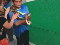 u8k0Ju1.gif