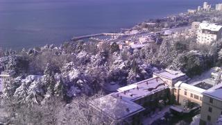 IMAG0781.jpg