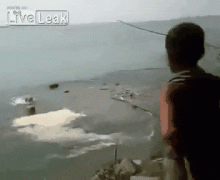 1483802746186844688.gif