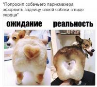 1484172725_2.jpeg