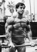 franco-chest-3-719x1024.jpg
