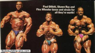 Shawn_Ray_34.jpg