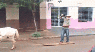 UOhRRm.gif