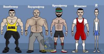 bodibilder-pauerlifter-krossfiter-shtangist-i-ya-500x262.jpg