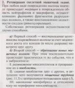 регенерация мышечной ткани.JPG